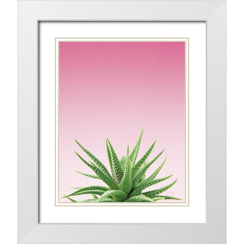 Succulent Simplicity I Pink Ombre Crop White Modern Wood Framed Art Print with Double Matting by Bradley, Felicity