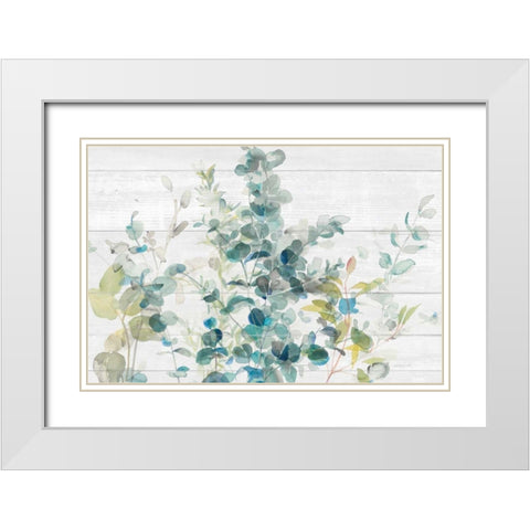 Eucalyptus I on Shiplap Crop White Modern Wood Framed Art Print with Double Matting by Nai, Danhui