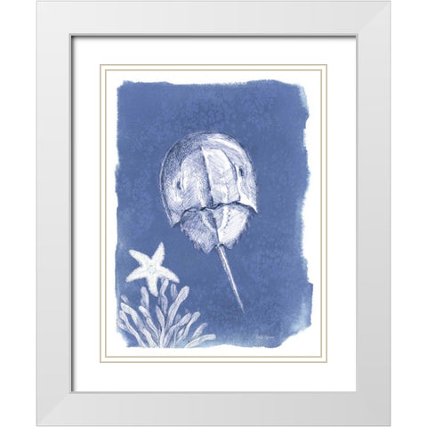 Coastal Sea Life VI White Modern Wood Framed Art Print with Double Matting by Grove, Beth