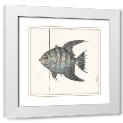 Fish Sketches II Shiplap White Modern Wood Framed Art Print with Double Matting by Wild Apple Portfolio