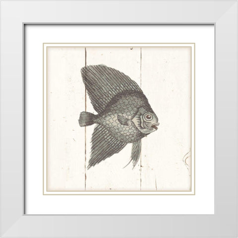 Fish Sketches III Shiplap White Modern Wood Framed Art Print with Double Matting by Wild Apple Portfolio