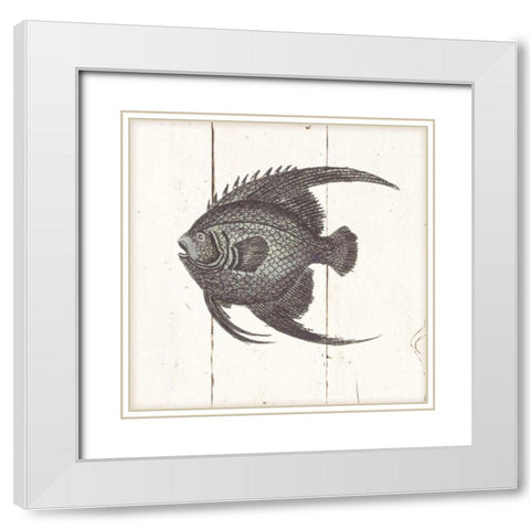 Fish Sketches IV Shiplap White Modern Wood Framed Art Print with Double Matting by Wild Apple Portfolio