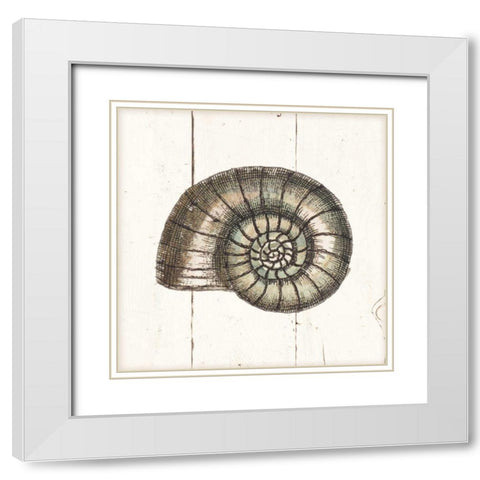 Shell Sketches I Shiplap White Modern Wood Framed Art Print with Double Matting by Wild Apple Portfolio