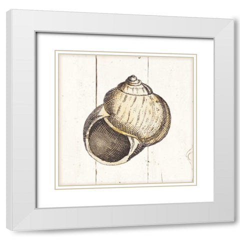 Shell Sketches II Shiplap White Modern Wood Framed Art Print with Double Matting by Wild Apple Portfolio