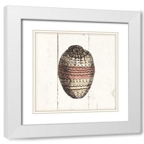 Shell Sketches IV Shiplap White Modern Wood Framed Art Print with Double Matting by Wild Apple Portfolio