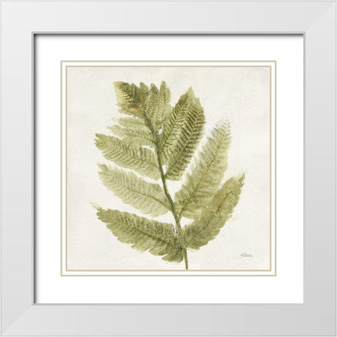 Forest Ferns I White Modern Wood Framed Art Print with Double Matting by Hristova, Albena