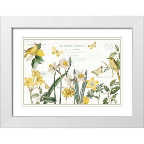 Citron Curiosities I White Modern Wood Framed Art Print with Double Matting by Pertiet, Katie