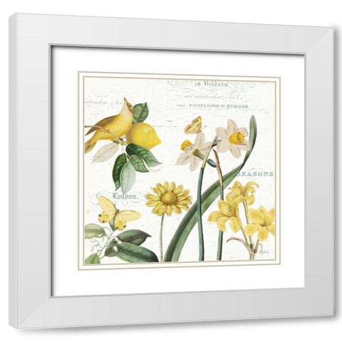 Citron Curiosities II White Modern Wood Framed Art Print with Double Matting by Pertiet, Katie