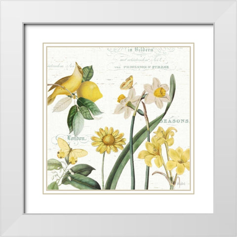 Citron Curiosities II White Modern Wood Framed Art Print with Double Matting by Pertiet, Katie