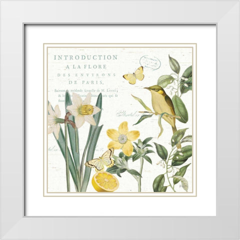 Citron Curiosities III White Modern Wood Framed Art Print with Double Matting by Pertiet, Katie