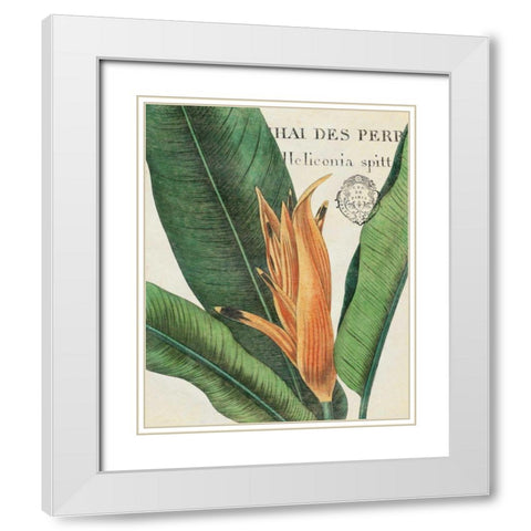Botanique Tropicale II White Modern Wood Framed Art Print with Double Matting by Wild Apple Portfolio
