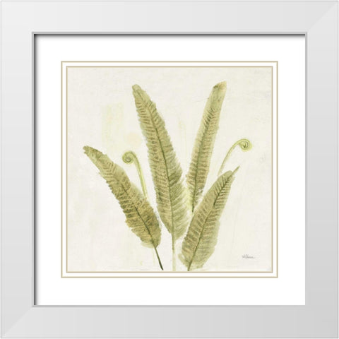 Forest Ferns II v2 White Modern Wood Framed Art Print with Double Matting by Hristova, Albena