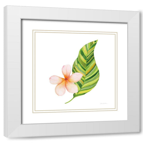 Treasures of the Tropics X White Modern Wood Framed Art Print with Double Matting by McKenna, Kathleen Parr