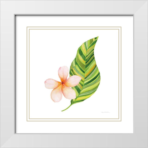 Treasures of the Tropics X White Modern Wood Framed Art Print with Double Matting by McKenna, Kathleen Parr