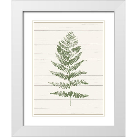 Fern Print II White Modern Wood Framed Art Print with Double Matting by Hershey, Moira
