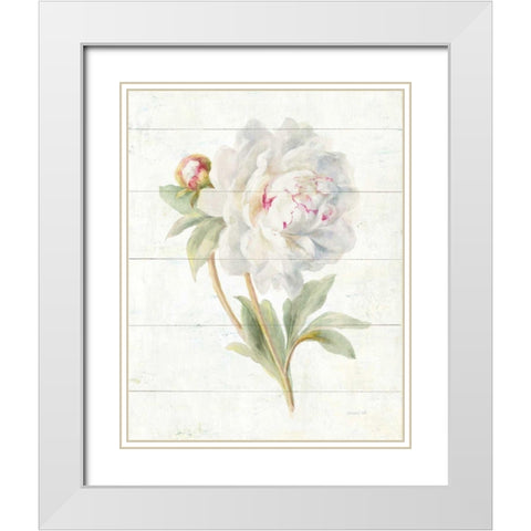 June Blooms II White Modern Wood Framed Art Print with Double Matting by Nai, Danhui