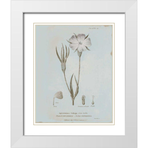 Conversations on Botany III Blue White Modern Wood Framed Art Print with Double Matting by Wild Apple Portfolio