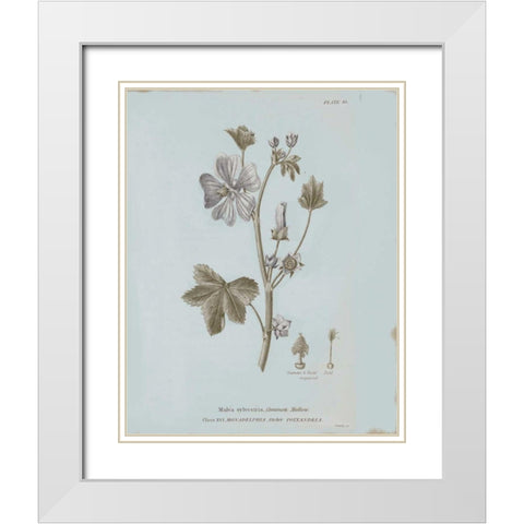 Conversations on Botany VII Blue White Modern Wood Framed Art Print with Double Matting by Wild Apple Portfolio