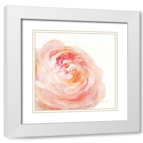 Garden Rose on White Crop White Modern Wood Framed Art Print with Double Matting by Nai, Danhui