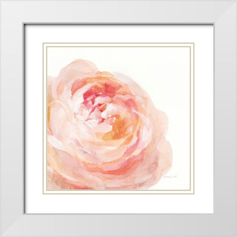 Garden Rose on White Crop White Modern Wood Framed Art Print with Double Matting by Nai, Danhui