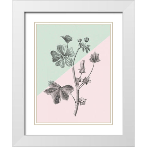 Conversations on Botany VII Color Block White Modern Wood Framed Art Print with Double Matting by Wild Apple Portfolio