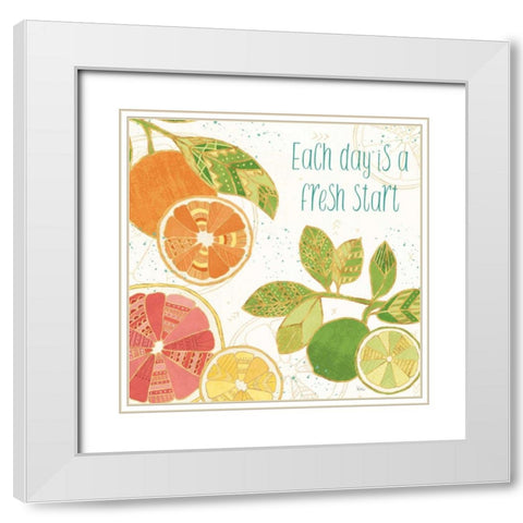 Citrus Splash IV White Modern Wood Framed Art Print with Double Matting by Charron, Veronique
