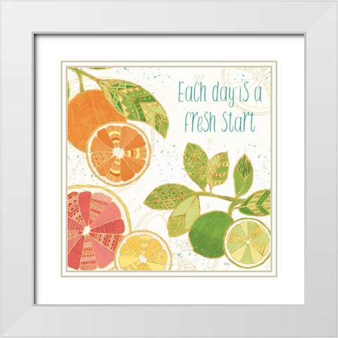 Citrus Splash IV White Modern Wood Framed Art Print with Double Matting by Charron, Veronique
