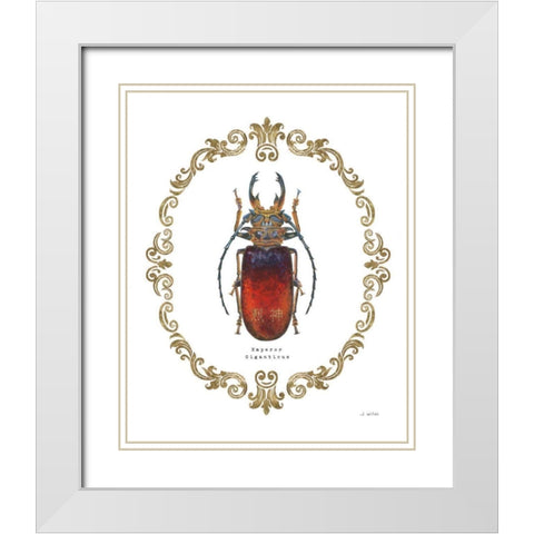 Adorning Coleoptera I White Modern Wood Framed Art Print with Double Matting by Wiens, James