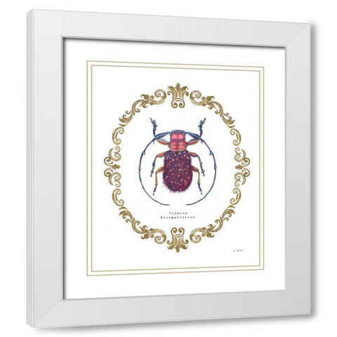 Adorning Coleoptera II White Modern Wood Framed Art Print with Double Matting by Wiens, James