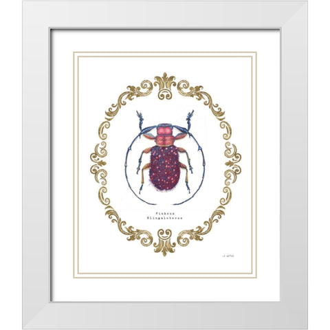 Adorning Coleoptera II White Modern Wood Framed Art Print with Double Matting by Wiens, James