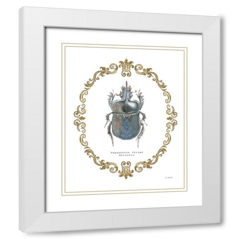 Adorning Coleoptera IV White Modern Wood Framed Art Print with Double Matting by Wiens, James