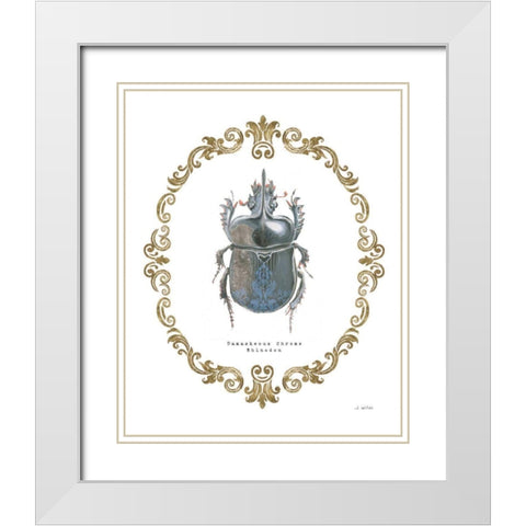 Adorning Coleoptera IV White Modern Wood Framed Art Print with Double Matting by Wiens, James