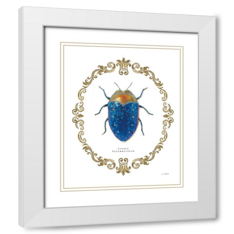 Adorning Coleoptera V White Modern Wood Framed Art Print with Double Matting by Wiens, James