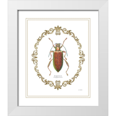 Adorning Coleoptera VI White Modern Wood Framed Art Print with Double Matting by Wiens, James