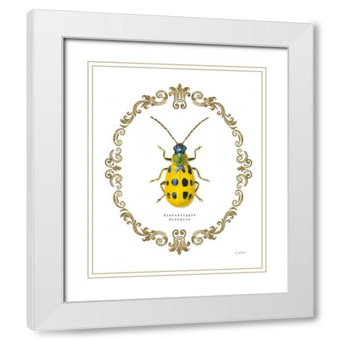 Adorning Coleoptera VII White Modern Wood Framed Art Print with Double Matting by Wiens, James