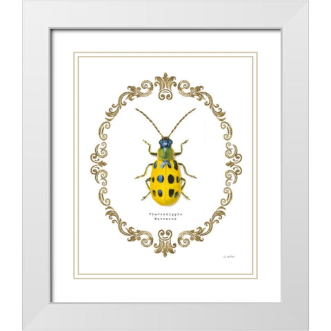 Adorning Coleoptera VII White Modern Wood Framed Art Print with Double Matting by Wiens, James