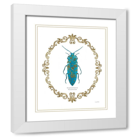 Adorning Coleoptera VIII White Modern Wood Framed Art Print with Double Matting by Wiens, James