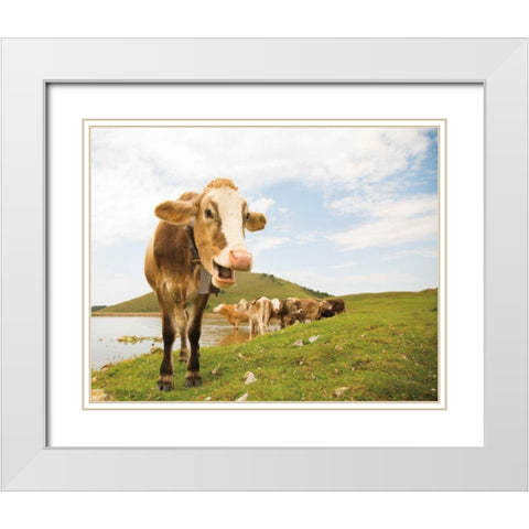 Close Up III White Modern Wood Framed Art Print with Double Matting by Aledanda