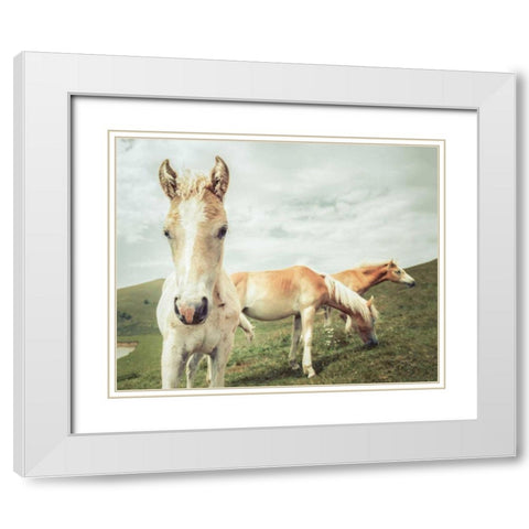 Three Buddies White Modern Wood Framed Art Print with Double Matting by Aledanda