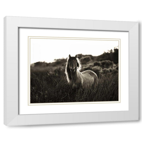 Evening Glow Crop White Modern Wood Framed Art Print with Double Matting by Aledanda