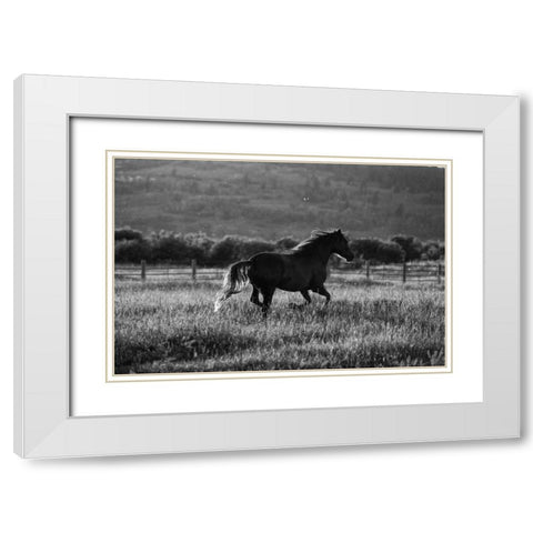 Going Home White Modern Wood Framed Art Print with Double Matting by Aledanda