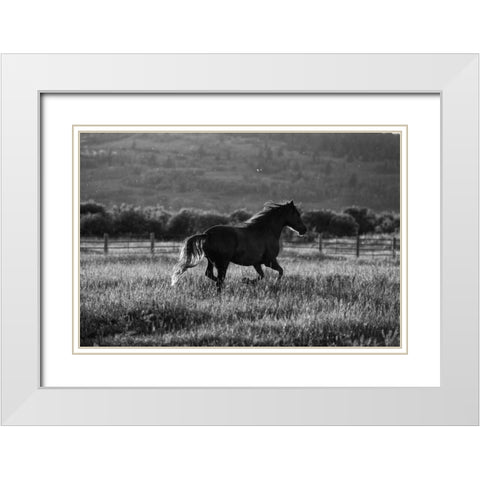 Going Home White Modern Wood Framed Art Print with Double Matting by Aledanda