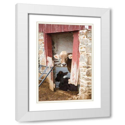 Resting White Modern Wood Framed Art Print with Double Matting by Aledanda