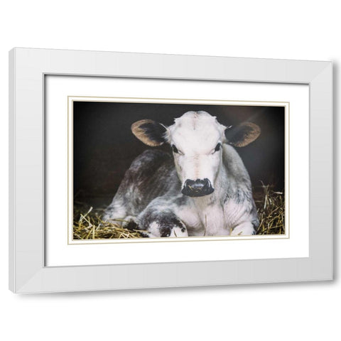 Busy Day Crop White Modern Wood Framed Art Print with Double Matting by Aledanda