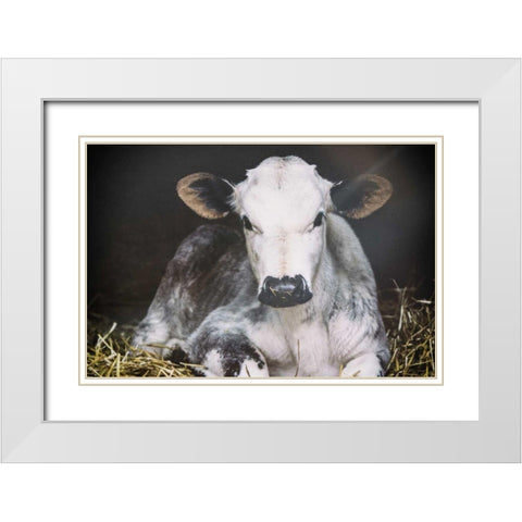 Busy Day Crop White Modern Wood Framed Art Print with Double Matting by Aledanda