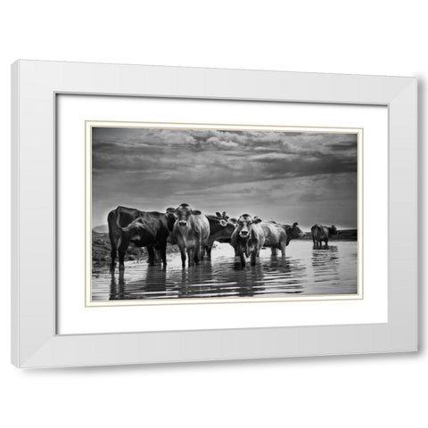 In the River White Modern Wood Framed Art Print with Double Matting by Aledanda