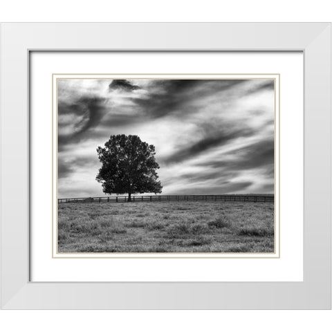 Majestic Crop White Modern Wood Framed Art Print with Double Matting by Aledanda