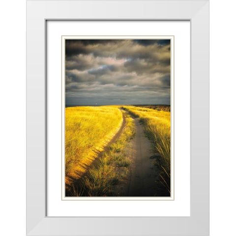 Down the Road White Modern Wood Framed Art Print with Double Matting by Aledanda