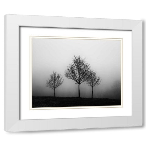 In the Fog Crop White Modern Wood Framed Art Print with Double Matting by Aledanda