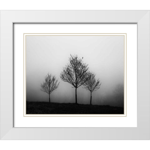 In the Fog Crop White Modern Wood Framed Art Print with Double Matting by Aledanda